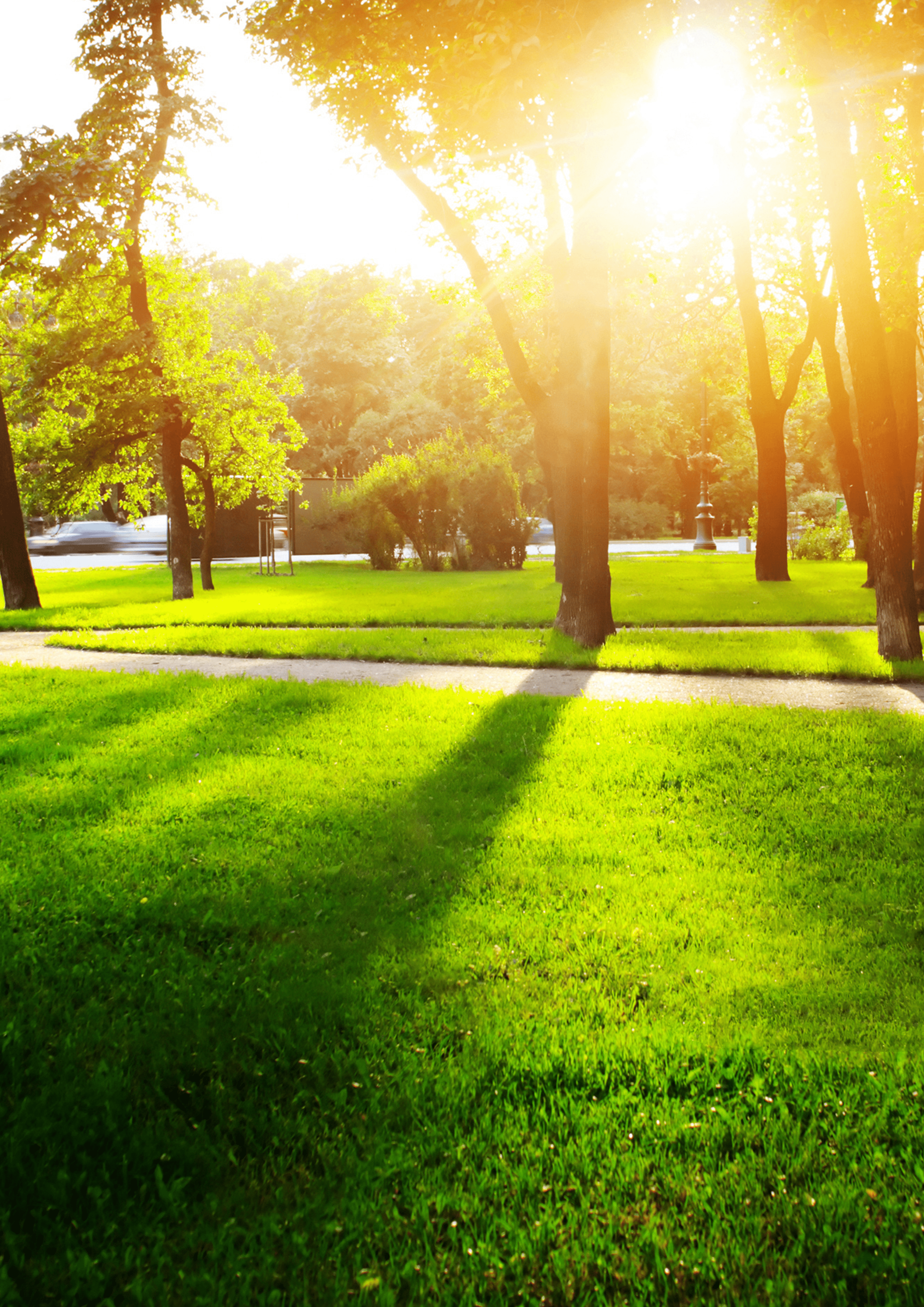 Botanical Garden